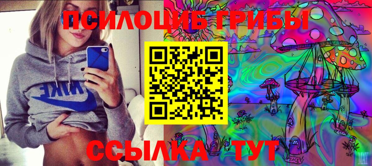 что такое   Вход с VPN  Тулун  Галлюциногенные грибы Magic Shrooms 