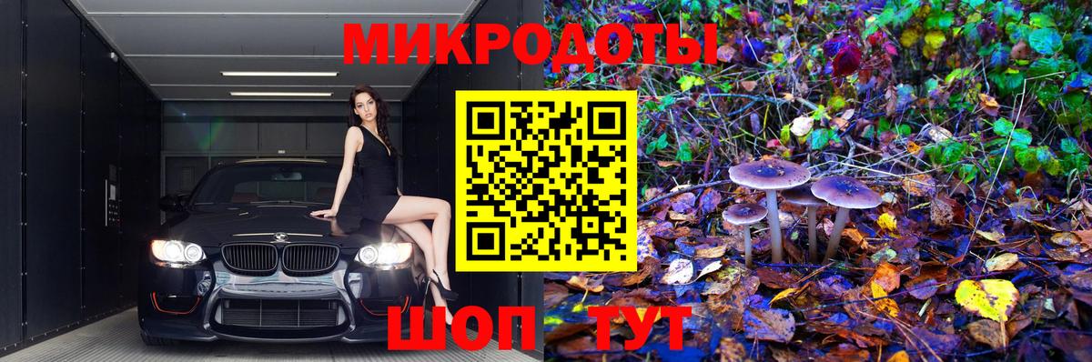 Галлюциногенные грибы Psilocybine cubensis Тулун